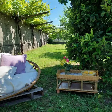 بيت للعطل O Berce Padrón