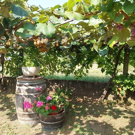 O Berce Holiday home *